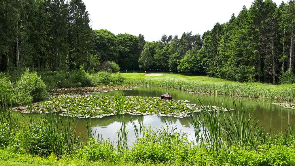 Ross-on-Wye-Golf-Club-1