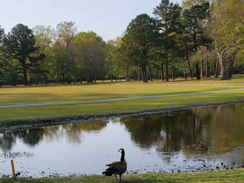 Stumpy Lake Golf Course