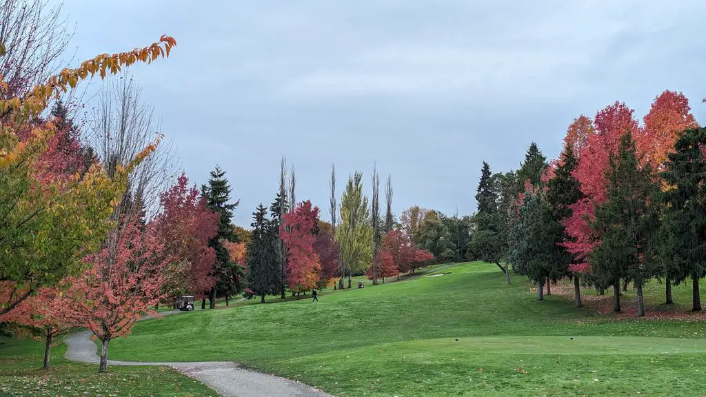 West-Seattle-Golf-Course-1