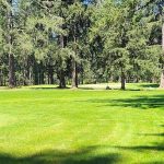 Whispering Firs Golf Course